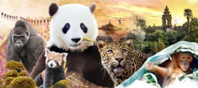 Pairi Daiza daguitstap 06.09 x