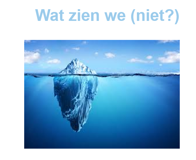 Veilig en toegankelijk gamen voor iedereen