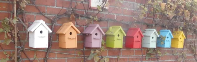 Nestkastjes